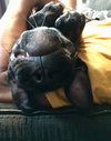 Winnie