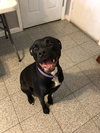 Winnie