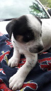 Keegan