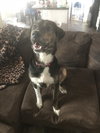 Bailey
