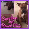 Caroline (Courtesy Post)