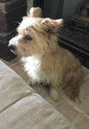 Winston Lee