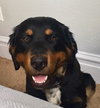 Stanley