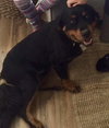 Stanley