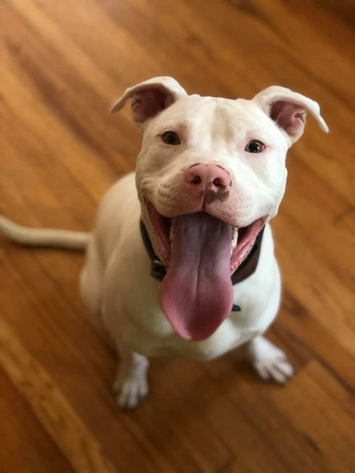 Truman