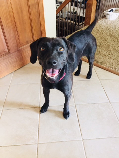 Kona