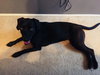Kona