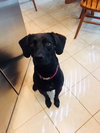 Kona