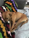 Moby