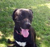Buster