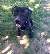Buster