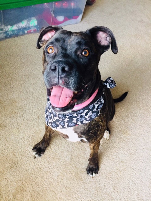 Lexi