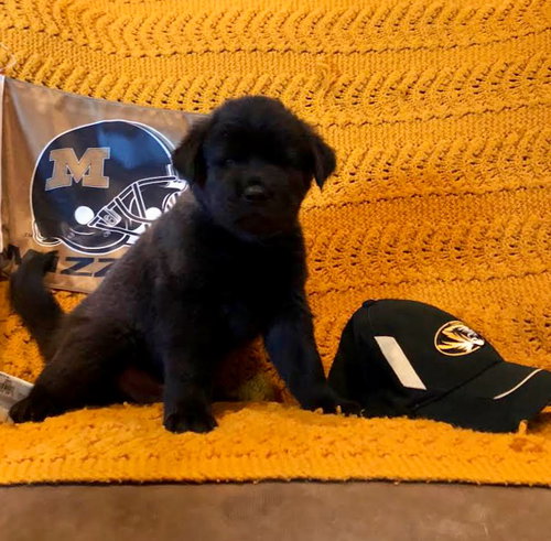 Jax