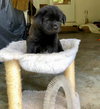 Jax