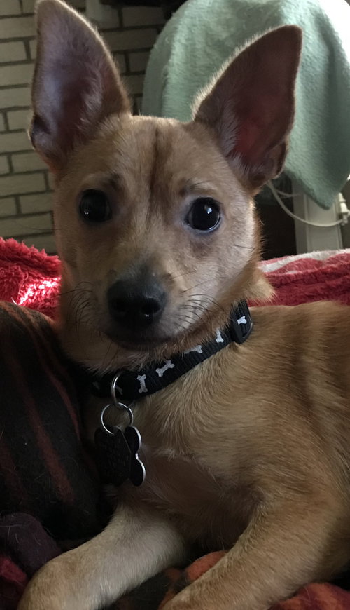 Lenny