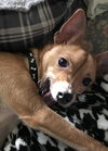 Lenny