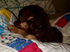 Brandy