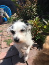 Mitzie