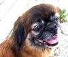 Josie