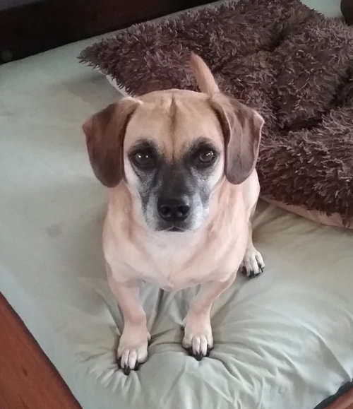 Lola Lu