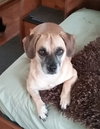 Lola Lu
