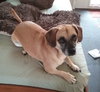 Lola Lu