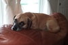 Lola Lu