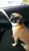 Lola Lu