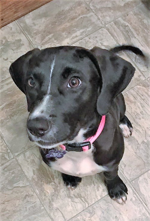 Janie