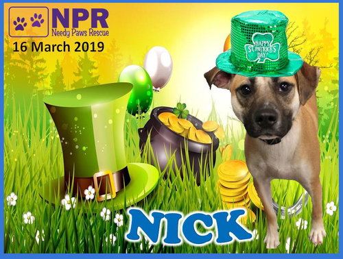 Nick
