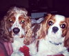 Oakley & Wilson