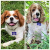 Oakley & Wilson