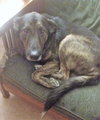 Tucker