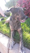 Tucker