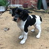 Marnie