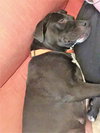 Sissy