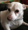 Monty