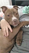 Ruger
