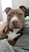 Ruger