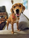 Chuck