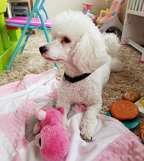 Charlie