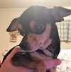 Vinnie