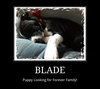 Blade
