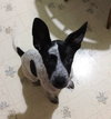 Mildred