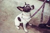 Mildred