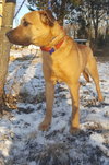 Otis Driftwood