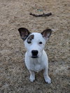 Prue