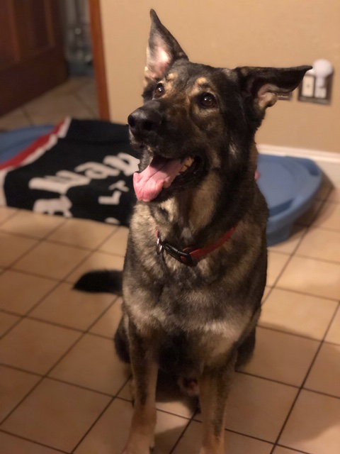 Otis