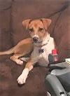 Maggie