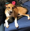 Maggie